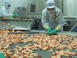 Minh Phú trên con đường tỷ USD