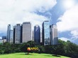 API lập công ty con để triển khai 2 dự án