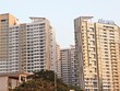 Vị trí dự án có vai trò quyết định, sau đó là những dịch vụ tiện ích, rồi mới đến giá bán