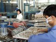 Vật liệu xây dựng là lĩnh vực Kl99ok phiên bản mới trọng điểm của Viglacera