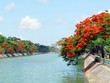 Hải Phòng giải phóng mặt bằng cho Dự án Sân bay Cát Bi