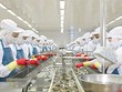 Con đường riêng tìm đối tác chiến lược