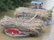 99Kl99 trực tiếp đá gà không nắm cổ phần Vinacco sau cổ phần hóa