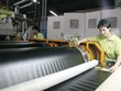 RDP báo lỗ quý đầu tiên từ khi lên sàn