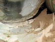 Vinaconex nhận khuyết điểm vỡ ống nước để rồi được giao làm ống mới, chuyện hài?
