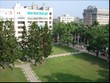 Một góc nhìn khác về vai trò của Formosa với ngành thép