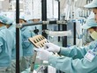 25 DN Việt Nam xúc tiến thương mại tại Pháp và Hà Lan