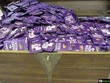Dairy Milk muốn nuôi bò, chế biến sữa ở Vĩnh Phúc