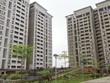 Thủ tướng Kl993 ưu đãi thưởng hấp dẫn yêu cầu Hà Nội khẩn trương rà soát quỹ đất 20% tại các khu đô thị