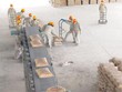 HOM đạt Kl99 nổ hũ 24,2 tỷ đồng trong 6 tháng