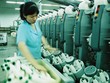 Đã có 5 Kl991.com World Cup 2026 Chính Thức dệt may trong nước sử dụng thử xơ sợi của Pvtex