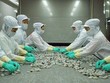 Công ty mẹ MPC lãi ròng quý II gấp 7 lần cùng kỳ