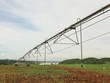 Hoạt động M&A trong ngành nông nghiệp được kỳ vọng sẽ phát triển mạnh mẽ trong thời gian tới