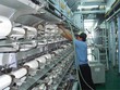 Sợi Thế Kỷ tung át chủ bài trước lúc IPO 