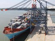 Bộ trưởng Đinh La Thăng yêu cầu thúc đẩy cổ phần hóa Vinalines