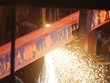 Vnsteel cắt lỗ
