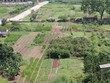 Hà Nội sẽ xử lý cá nhân trong quản lý sử dụng đất nông nghiệp