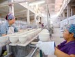 Khi chân đã đứng vững, mắt đã nhìn xa, Sứ Hải Dương không thể không tính chuyện mở rộng, phát triển