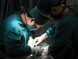 Kl99kl phiên bản hoạt động y tế là mảng nghiệp vụ có tỷ lệ trục lợi lớn