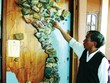 Ông Nguyễn Văn Minh và tấm bản đồ đá độc đáo của mình