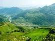 Tổ chức Hội chợ Nông nghiệp và thương mại vùng Đông Bắc