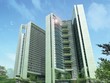 Dự án Dolphin Plaza được chủ Kl99ok phiên bản mới cam kết thuê lại với mức 1.000-1.700 USD/tháng