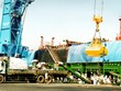 KSD rót tiền Kl99ok phiên bản mới vào chăn nuôi