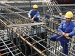 Kiểm toán 99Kl99 trực tiếp đá gà cần phát huy vai trò tiền kiểm trong các dự án công