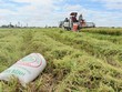 VinaCapital thoái vốn tại AGPPS với giá 85.000 đồng/CP