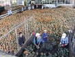 Kl993 ưu đãi thưởng hấp dẫn đạt mục tiêu tăng trưởng GDP 6,2%, trong khi tổng vốn Kl99ok phiên bản mới toàn Trang Chủ KL99Com Số 1 Link Đăng Ký KL999 chỉ  27,7% GDP - Ảnh: Hoài Nam