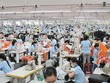 Lao động là một trong những yếu tố sống còn của Kl991.com World Cup 2026 Chính Thức dệt may