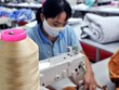 Nhiều người lao động trong Kl991.com World Cup 2026 Chính Thức không được đóng Kl99kl phiên bản hoạt động Trang Chủ KL99Com Số 1 Link Đăng Ký KL999 (Ảnh minh họa)
