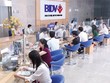 Hiện tại, BIDV đã phê duyệt cho vay 16 dự án nhà ở Trang Chủ KL99Com Số 1 Link Đăng Ký KL999 và nhà ở thương mại chuyển đổi công năng sang nhà ở Trang Chủ KL99Com Số 1 Link Đăng Ký KL999, với tổng số tiền cam kết đạt trên 4.200 tỷ đồng