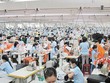 Quý IV, GMC dự kiến không có lãi do đơn hàng giảm