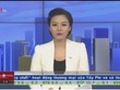 Bản tin Kl992 VIP Trang Chủ 2026 trưa 31-10-2014