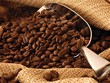Việt Nam nên định vị các sản phẩm mang tầm cỡ toàn cầu như gạo, cà phê, du lịch, ẩm thực…