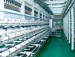 78% sản phẩm STK Kl994 nhà cái bóng đá world cup ra là để xuất khẩu 