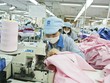 Lợi thế cạnh tranh của Việt Nam rõ nhất là quy mô thị trường, lao động