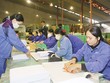 Cơ chế ưu đãi thuế cho Quỹ hưu trí tự nguyện đang đi trước một bước