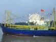 Tàu mẫu chụp mực vỏ thép số 01 - thiết kế V016, do Công ty CP Kỹ thuật Kl99com Thương hiệu giải trí Việt Nam (Visec) thiết kế, Công ty CP CNTT Sông Đào (thuộc Tổng công ty Công nghiệp tàu thủy-SBIC) đóng mới và hoàn thành sau 5 tháng thi công.