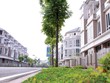 Bán biệt thự liền kề Xuân Phương giá từ 3,5 tỷ đồng/căn