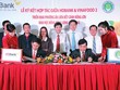 HDBank tiếp vốn cho cánh đồng lớn
