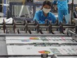 PBP đang cung ứng 100% nhu cầu bao bì cho Đạm Cà Mau