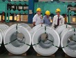 Hoa Sen chuyển hướng Kl99ok phiên bản mới, vì sao?