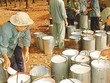 Ảnh Internet