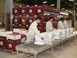 SCG Việt Nam sở hữu nhiều DN vật liệu xây dựng quy mô lớn tại Việt Nam