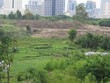 Một lô đất nông nghiệp trên địa bàn quận Nam Từ Liêm 