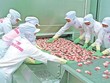 MPC đạt EPS trên 10.000 đồng