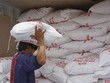 Năm 2015, dự báo thị trường gạo xuất khẩu tiếp tục gặp khó khăn