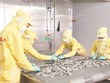 Việc giới hạn sở hữu ít nhiều cản trở sự linh hoạt trong cấu trúc huy động vốn của DN